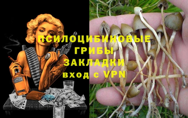 МДПВ Заволжск