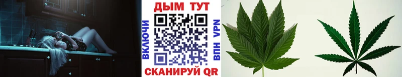 Купить где  Галич  Конопля тримм 